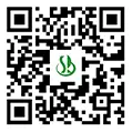 QR коды